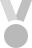 ic_medal-small-silver_2x.png