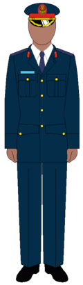 120px-Tanzania_Airforce_General_Ceremonial_uniform.png