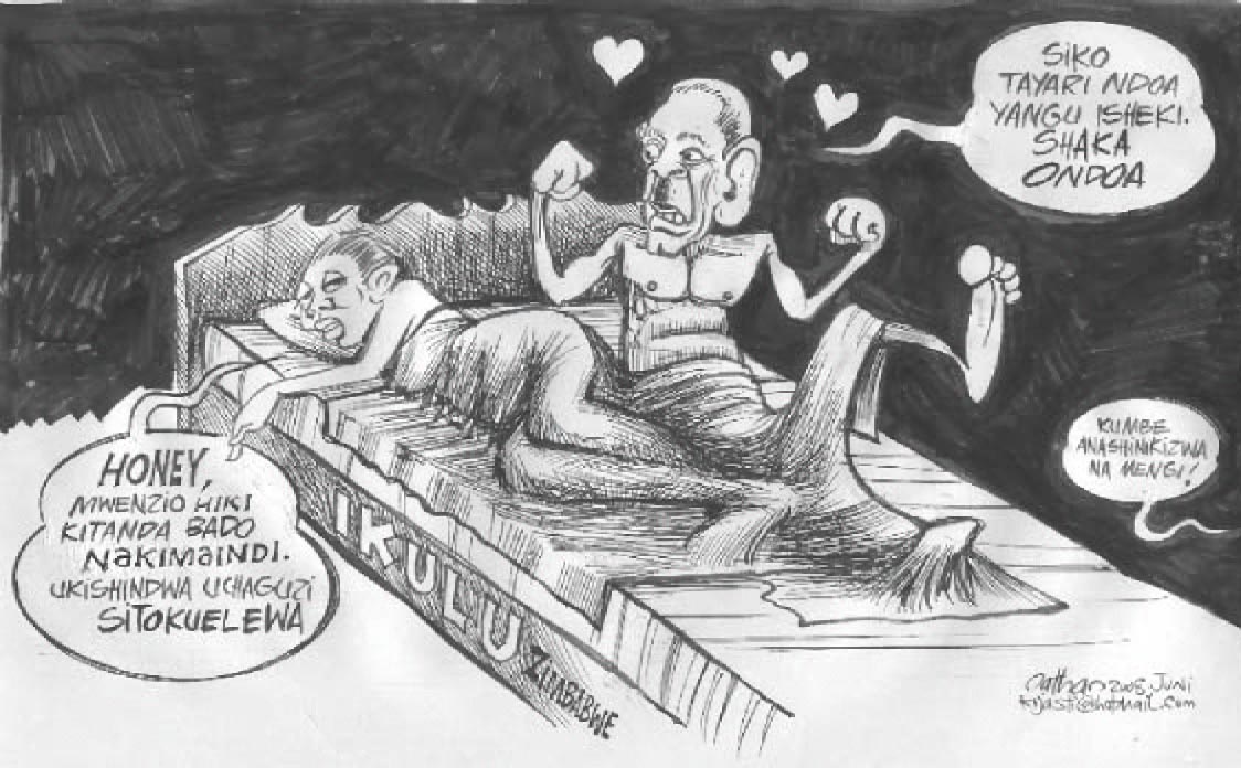 ikulu-mugabe-1.jpg