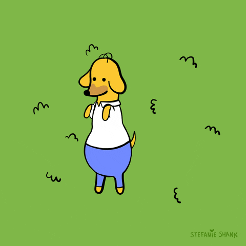 giphy.gif
