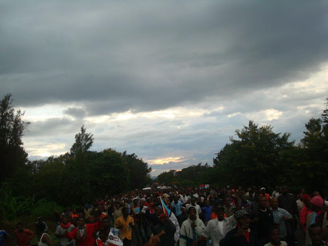 arumeru4.jpg