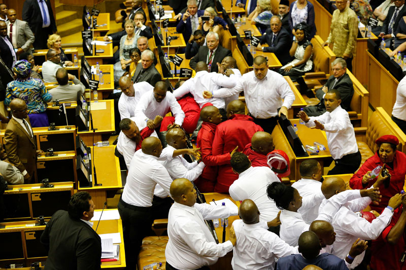 eff-vs-zuma.jpg
