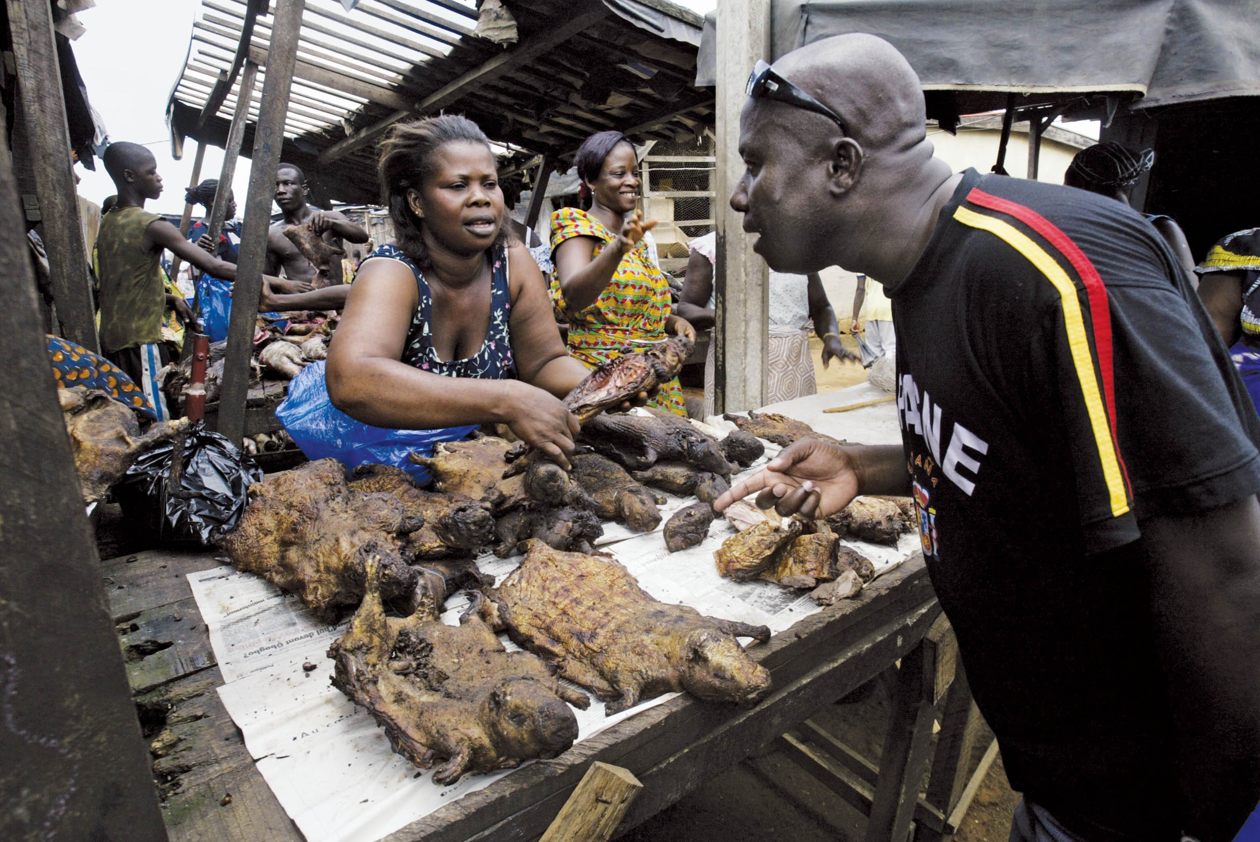 0822bushmeat03.jpg
