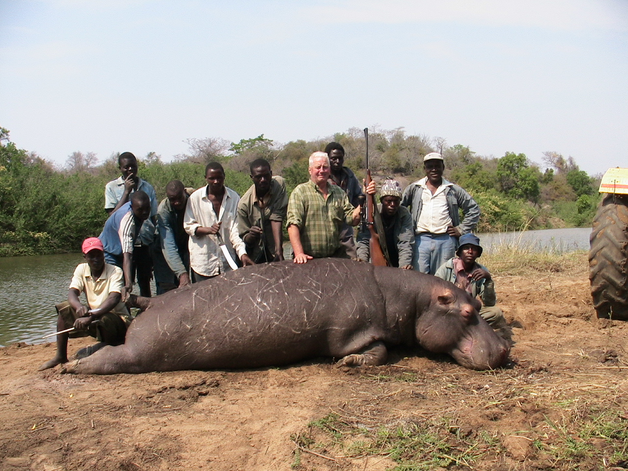hippo.jpg