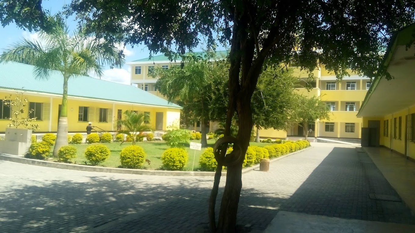 AF1QipMePDbMIYevUMfVat-qAoL6pqba8aqbM0GRQH-t=s1360-w1360-h1020