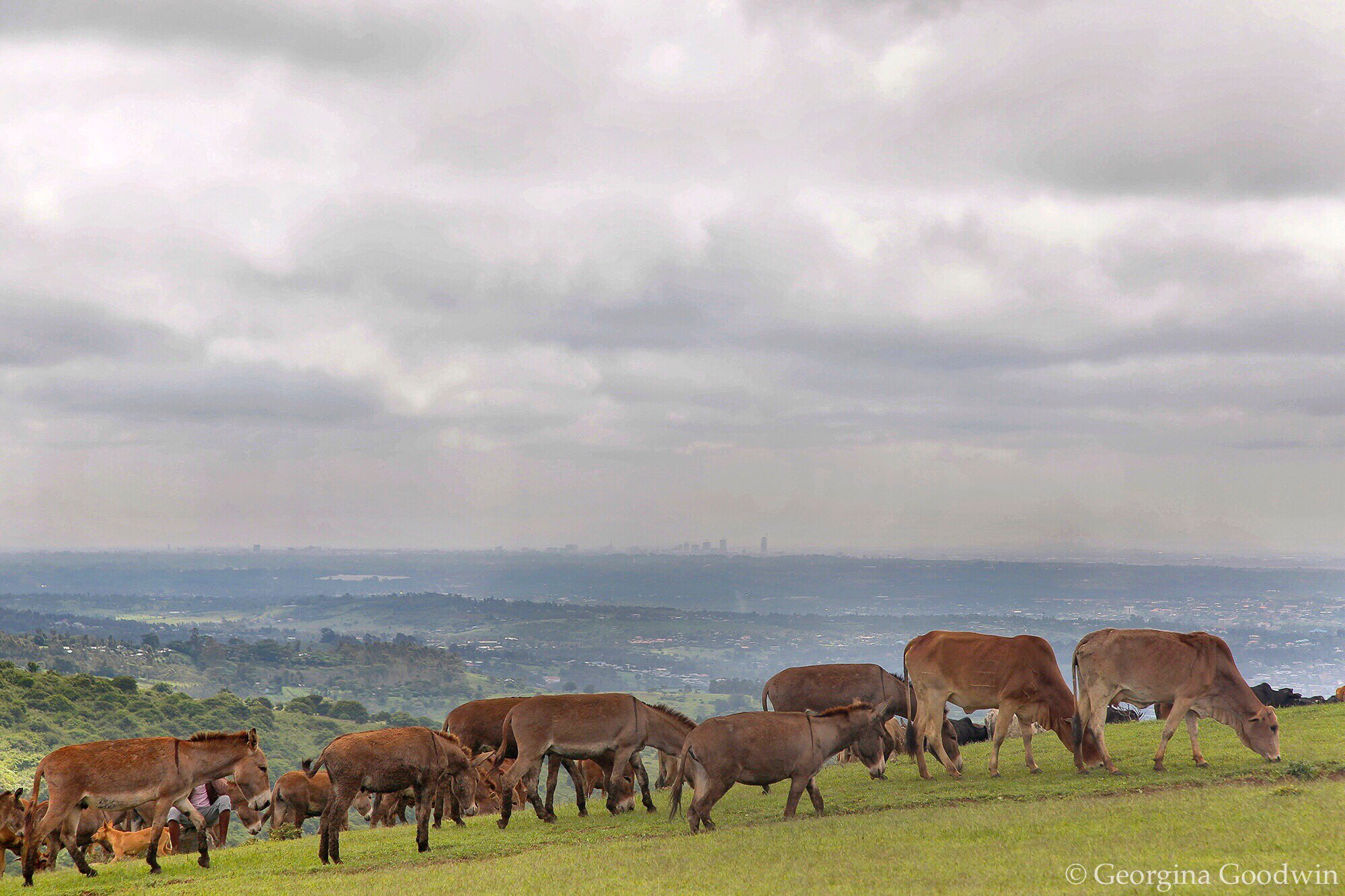 C3KN_VbUMAAtrsn.jpg:large