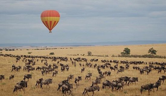 baloon-safaris-serengeti.jpg