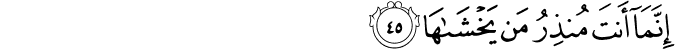 79_45.png
