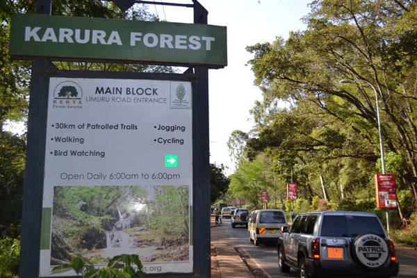 Kenya's Karura Forest, symbol of GreenBelt Movement, suffering death by  1,000 cuts
