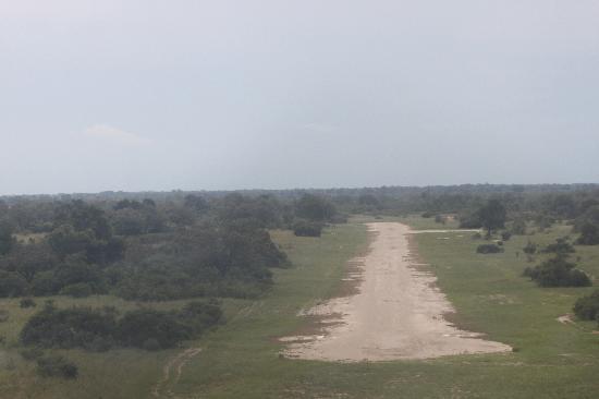 the-airstrip.jpg
