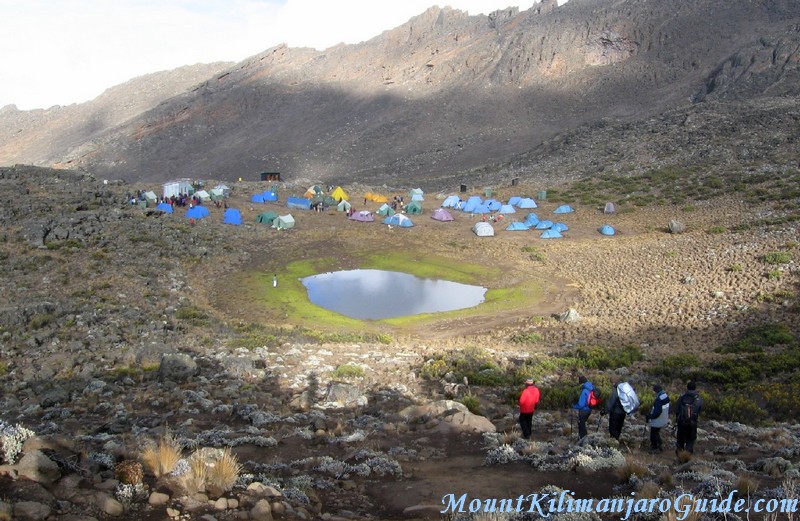 rongai-mawenzi-camp.jpg