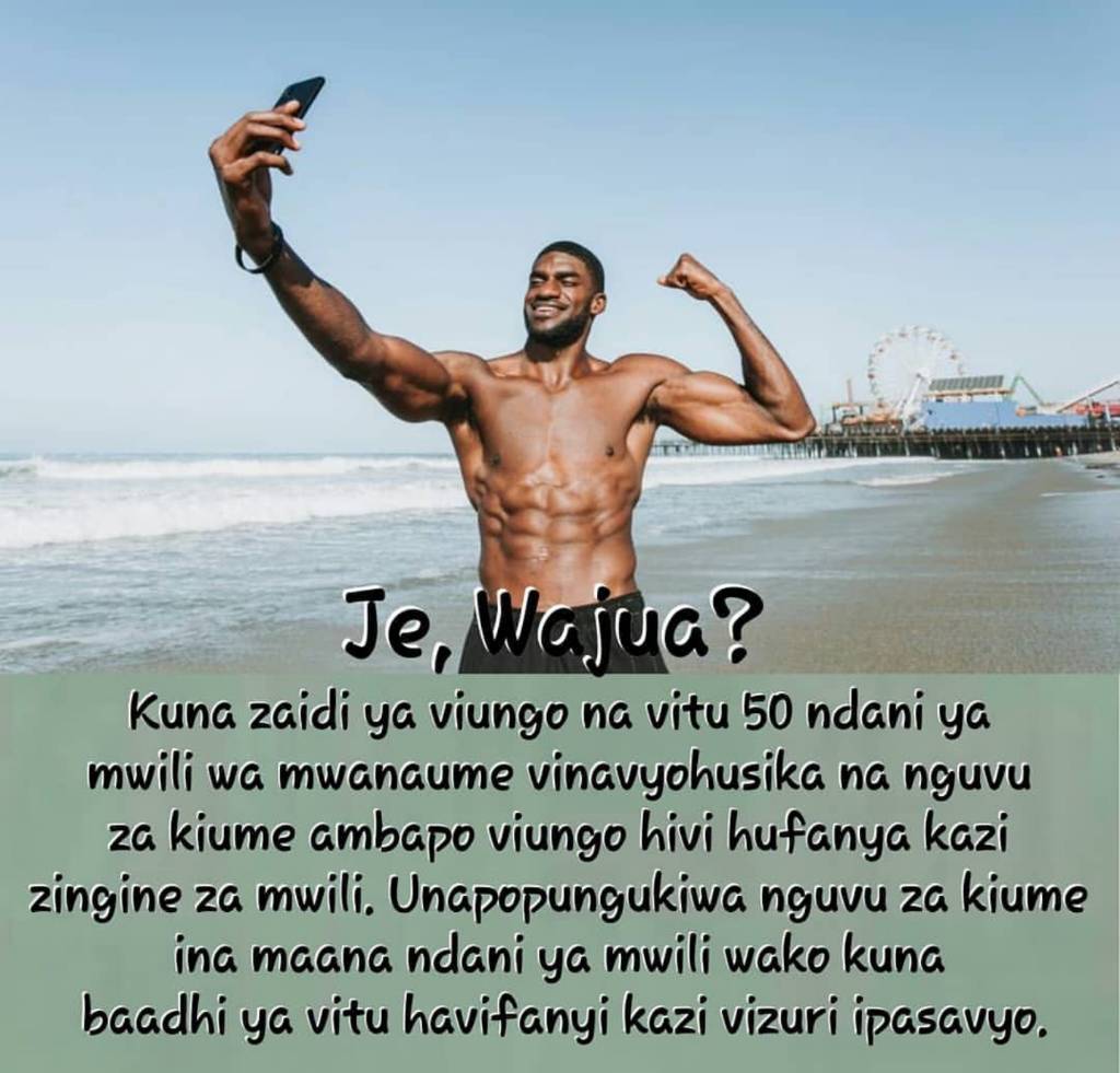 07b4d3840726f4ce88d587cffedcb148.jpg