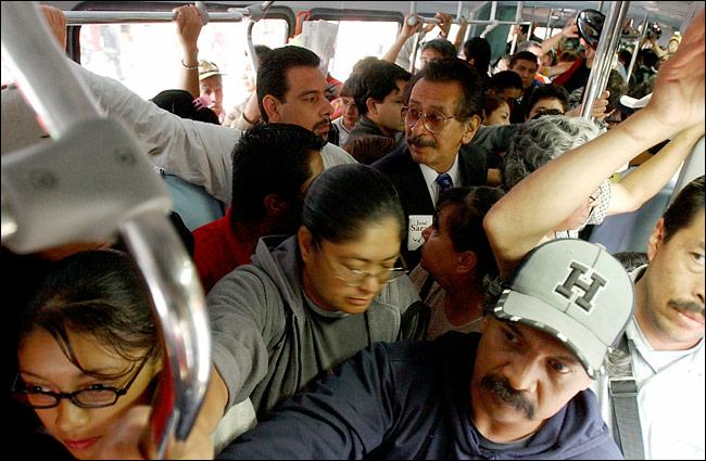 mexico.bus.crow.650.jpg