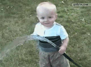 42186c23734edfe2b1594d680c1eeb5f.gif
