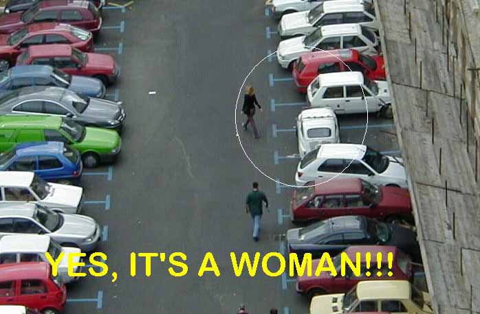 carsideways.jpg