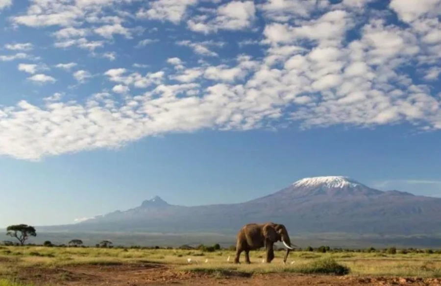mountkilimanjaro_1__1.webp