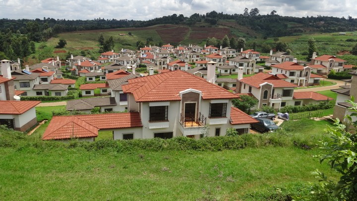 8131203_limuru4_jpeg242eca4f17af6a0086cb3f6a003bdc8e