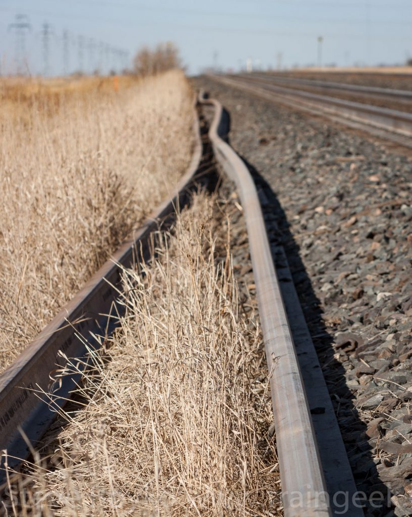 New-Rail-Diamond-20120317-SLB-817x1024.jpg