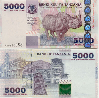 TZ38.JPG