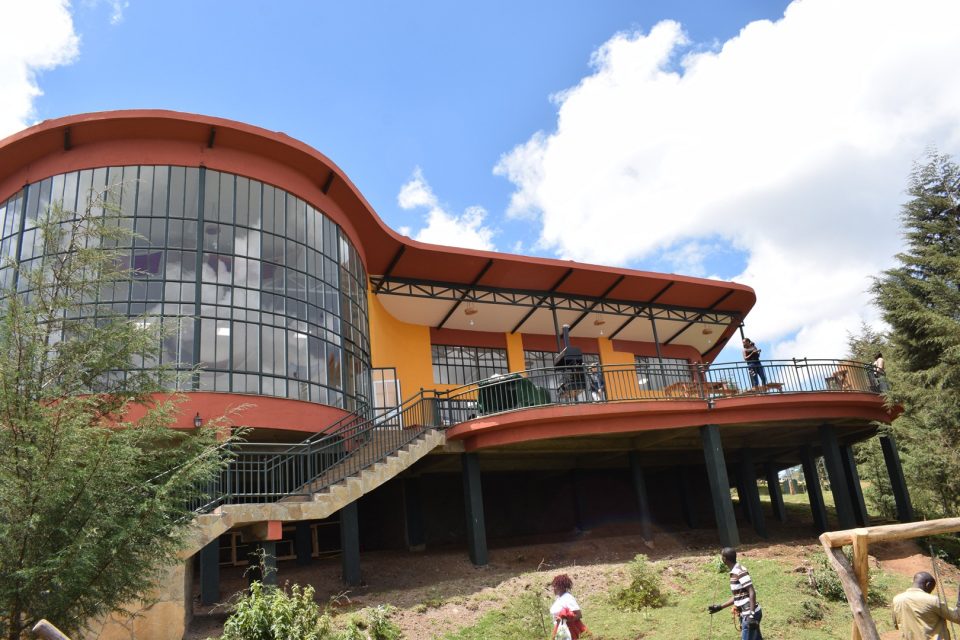 8131208_limuru7_jpeg2d8beab4c6cc12e1f4b52e143abffd5e