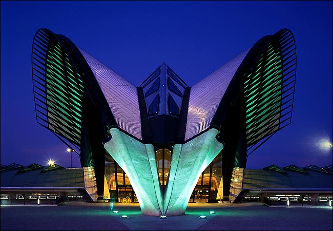 how-to-architect-calatrava2.jpg