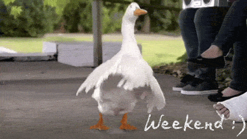 60d7d265c626e04a1b099b414bf6c3fa.gif