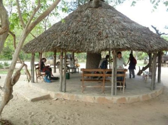 selous-impala-camp.jpg