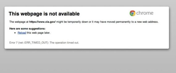 r-CIA-SITE-DOWN-HACKED-LULZSEC-large570.jpg