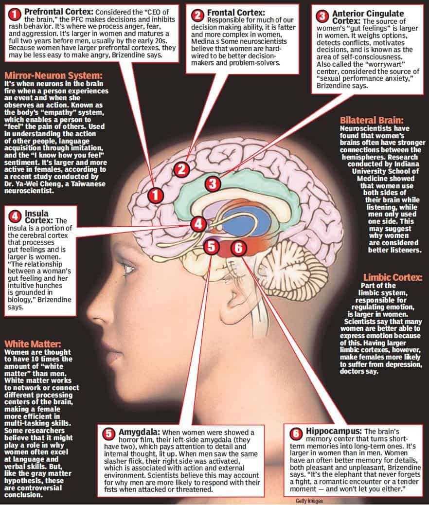 f_brain.jpg