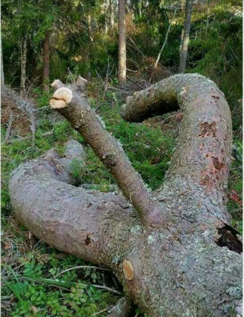 DMr3gPLWsAgBqCn.jpg