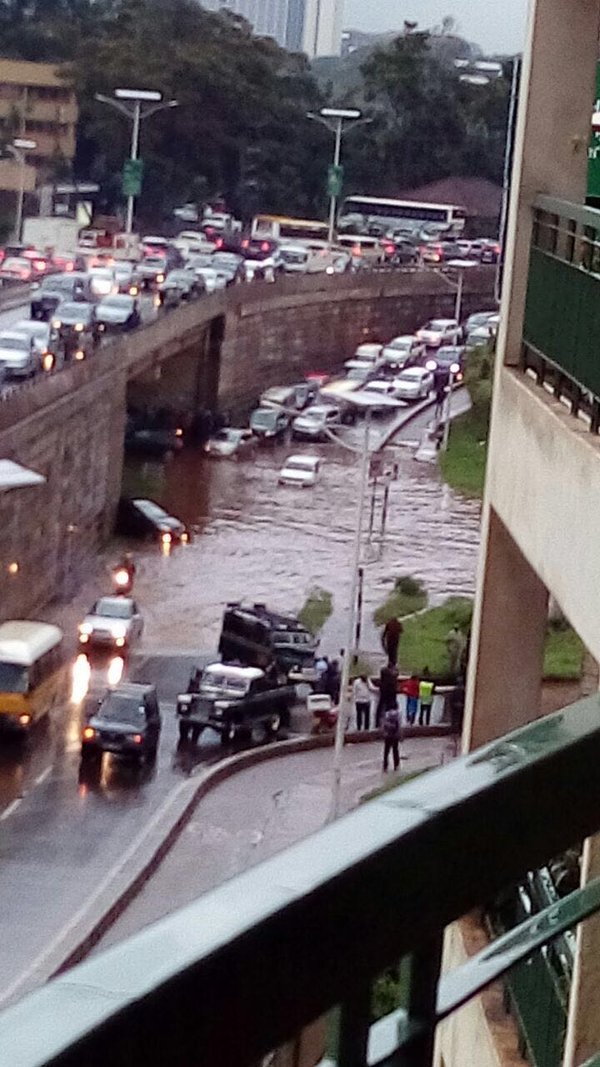 flood1.jpg