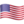 🇺🇸