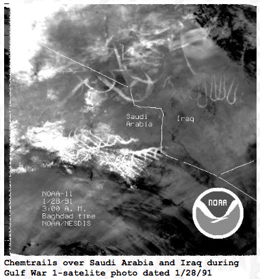 Screen-Shot-2020-05-07-at-8.32.37-AM.png