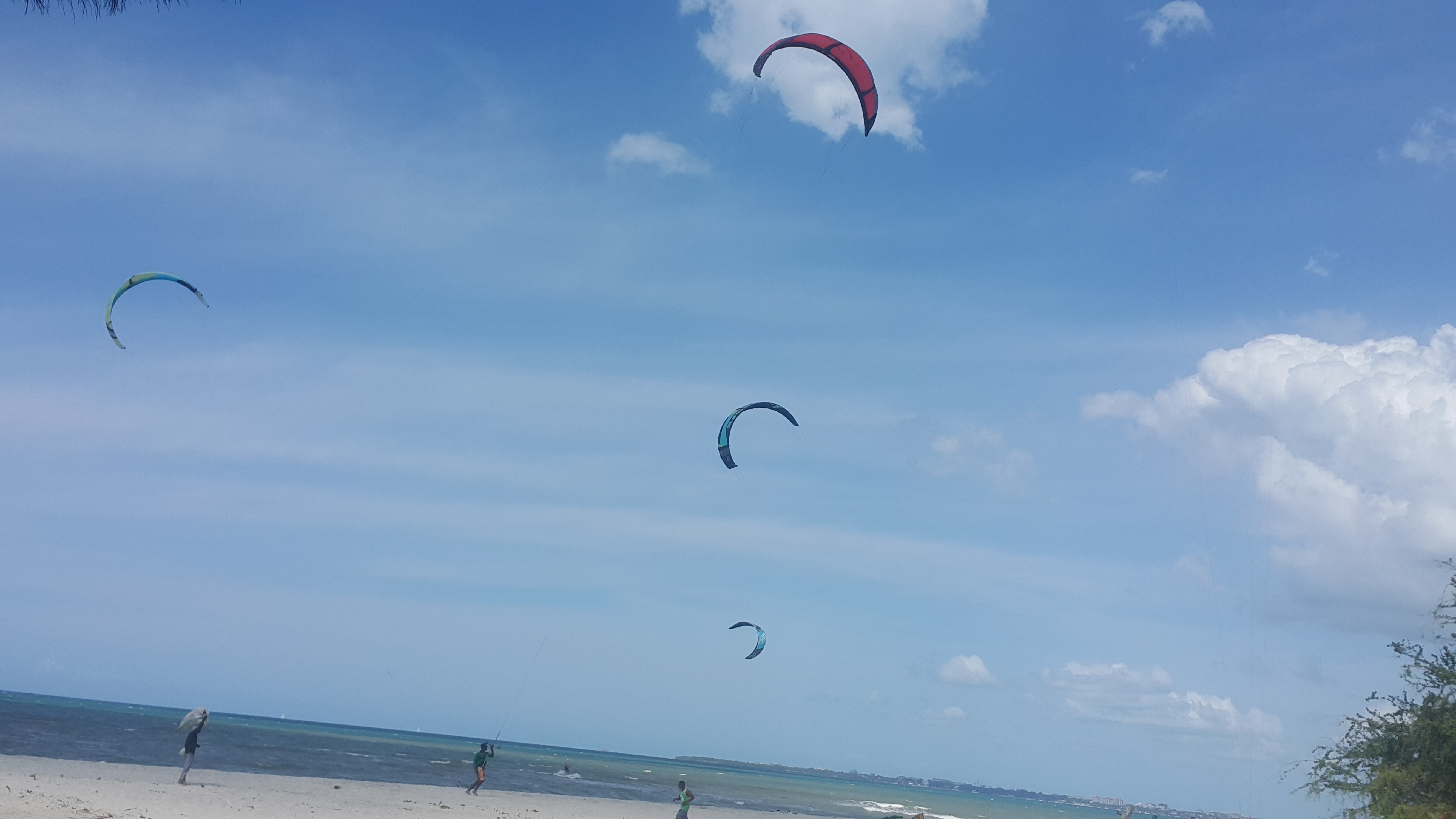 AF1QipPmEX1r8xlyGLs9NnYpQfEcsfPJ1EgcQ2ccKckU=s0