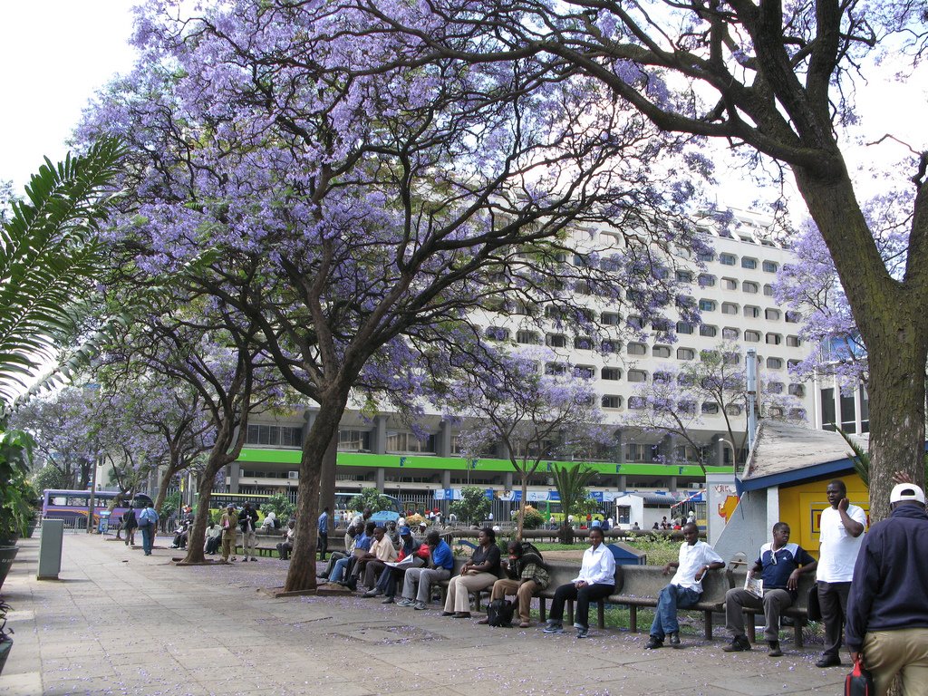 Cui1aDdWAAEoI7P.jpg
