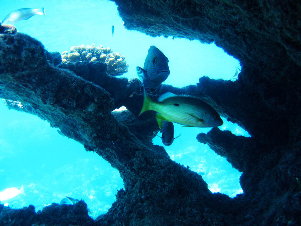image33.jpg