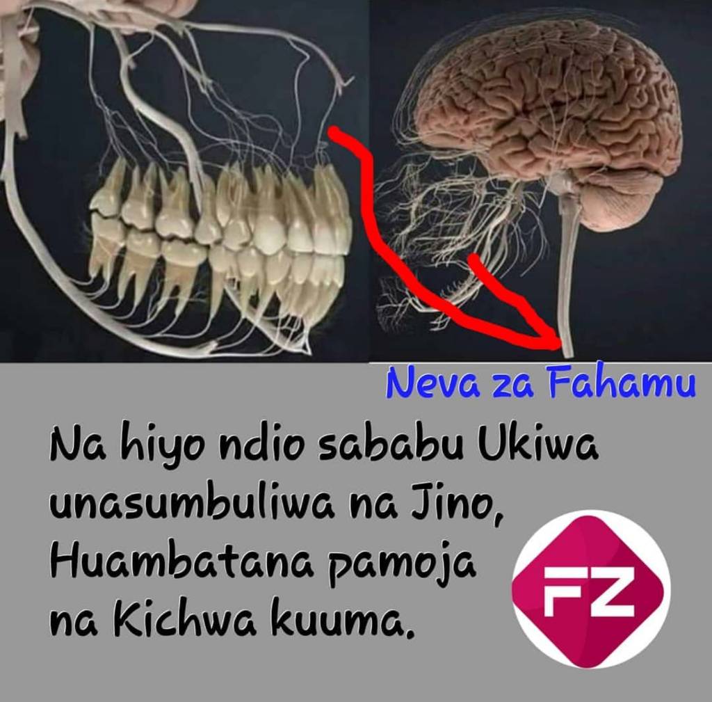 f5eebc845e1135160c685e60c9b5f399.jpg