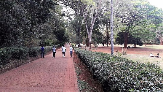 nairobi-arboretum.jpg