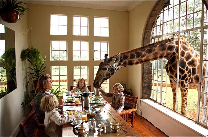Giraffe-Manor-Nairobi-Kenya.jpeg