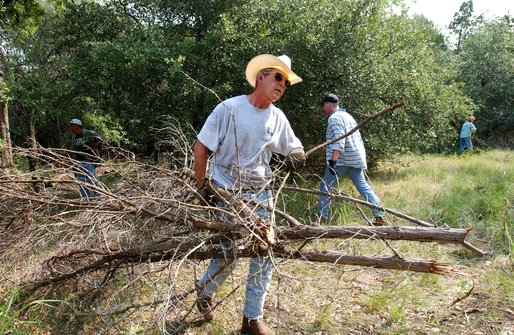 bush-brush-31.jpg