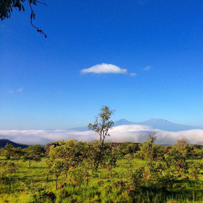 C4xz0UaUMAEEa-4.jpg:small