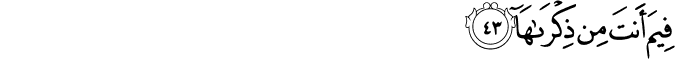 79_43.png