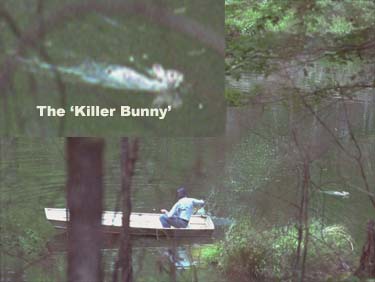 killberbunny.jpg