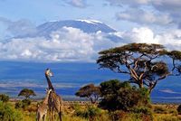 tanzania.jpg