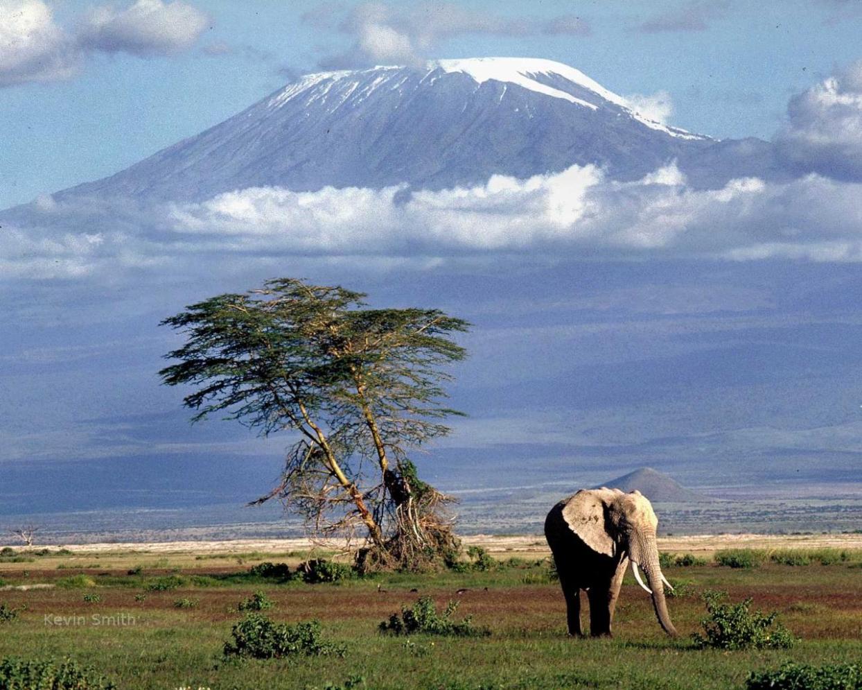 plains_below_kilimanjaro_1280x10241.jpg