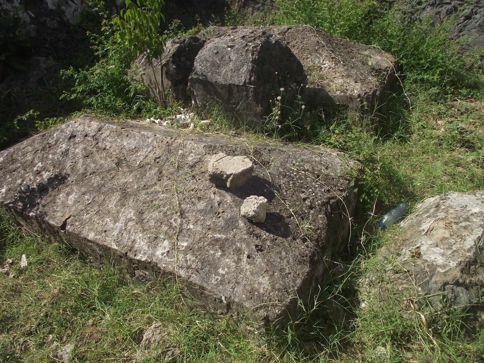 DSCF2630.JPG