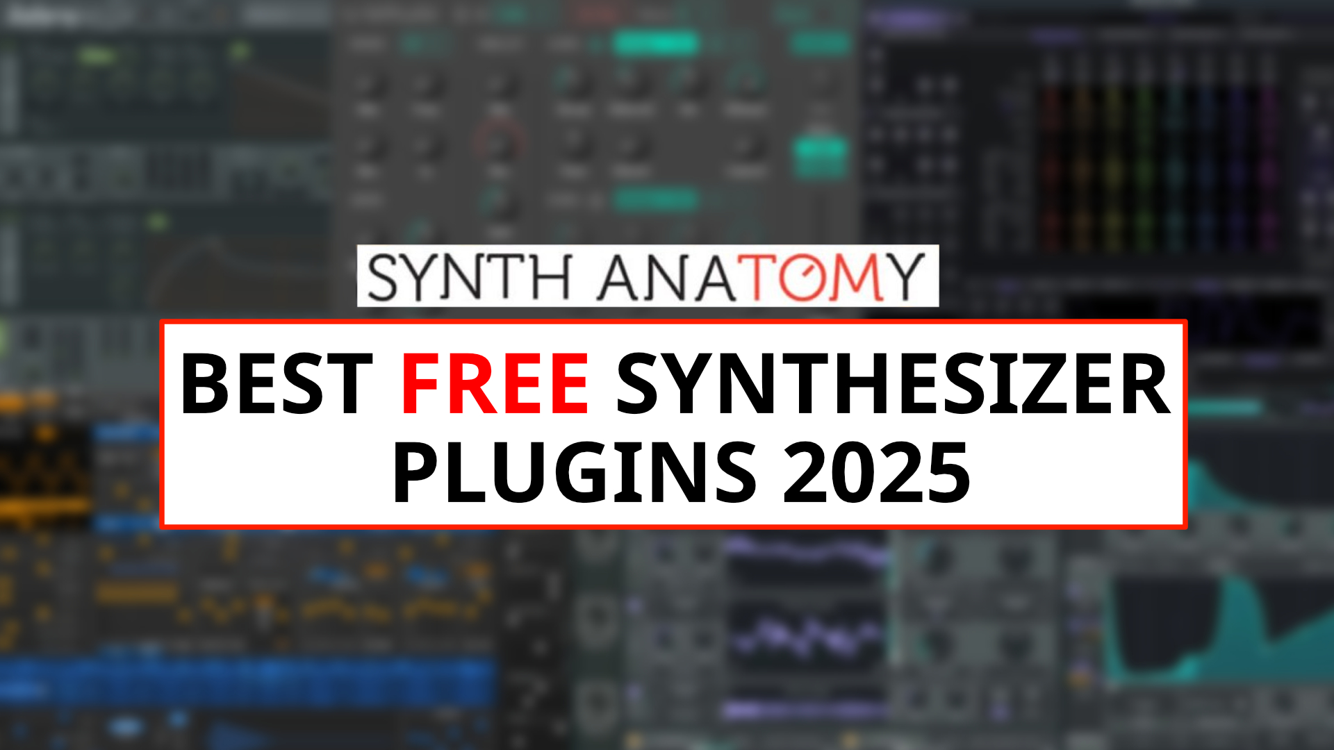 www.synthanatomy.com