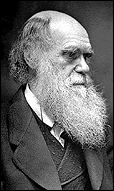 darwin.gif
