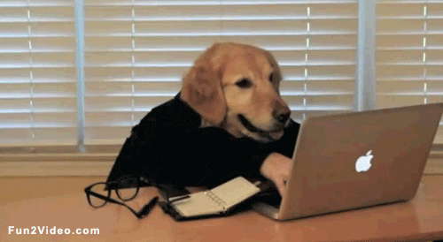 703e8d8999b79472ca88908ac3cf199a.gif