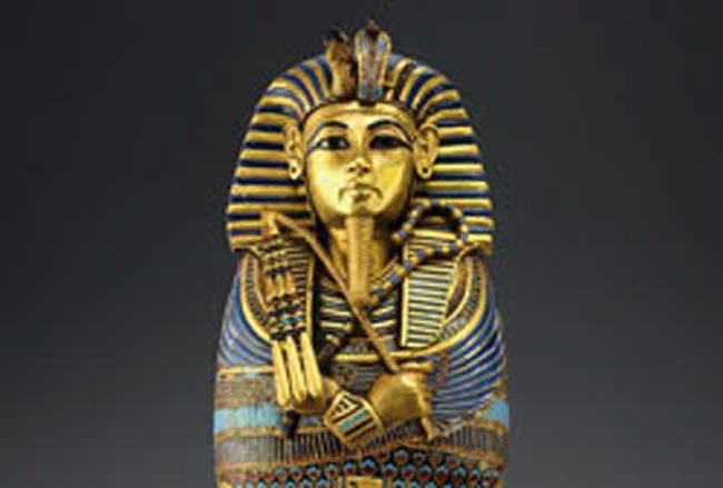 www.livescience.com